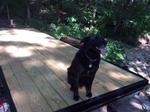 Noah thought it was all just fine!